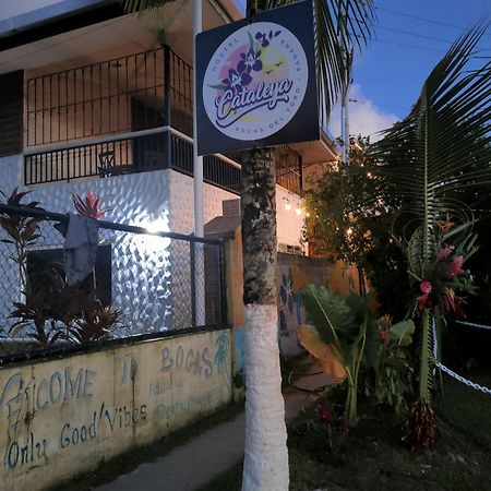Cataleya Hostel 보카스 타운 외부 사진