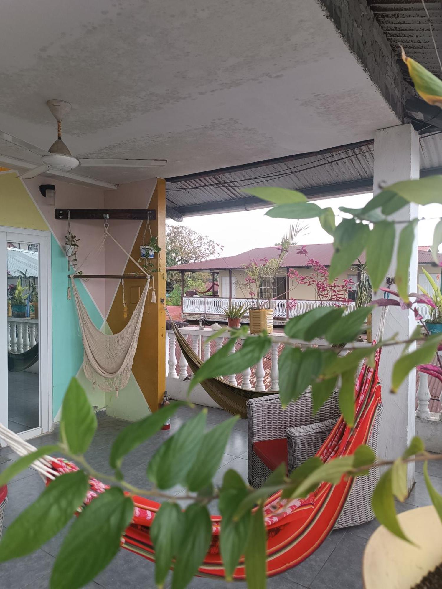 Cataleya Hostel 보카스 타운 외부 사진
