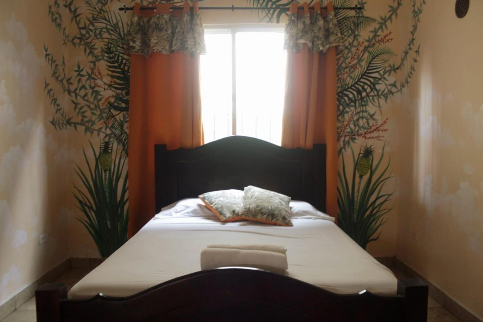 Cataleya Hostel 보카스 타운 외부 사진